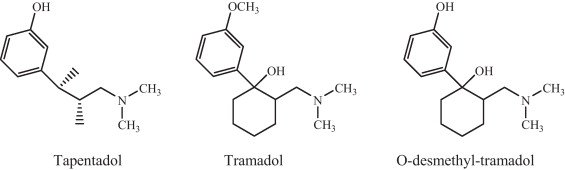 Tapentadol